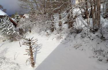 Feldbergsicht - Foto 5