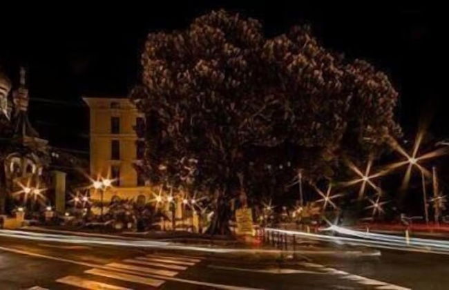 Pisolo Resort - Foto 24