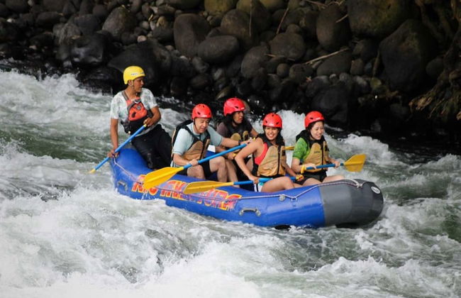 House of Ficus Banderilla,veracruz-mexico - Foto 63