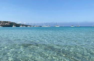 La tartaruga - Photo 23