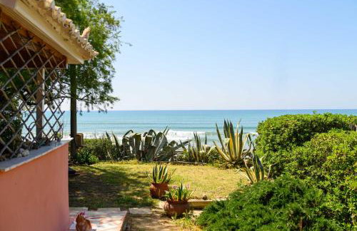 Salty Noses Beach House Paradise Perfect for Families - Foto 14