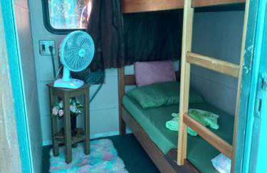 Barco Casa Pantanal Toca da Onça - Photo 14