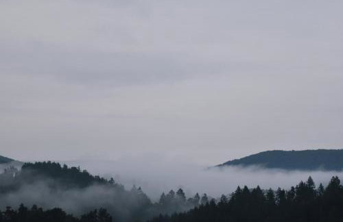 Domki w Bieszczadach Nowa Zelandia - Photo 42