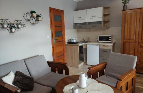 Willa Przekop - apartamenty - Foto 9