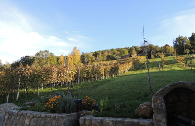 Vineyard cottage Pod piramido - Foto 25