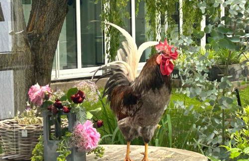 Ferienwohnung Piesbach - Foto 18