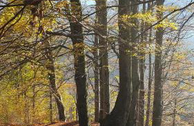 Apartamenty Marii Kawik - Foto 44