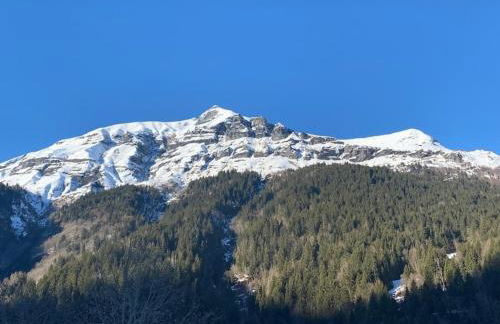 Individual chalet for up to 12 people maximum - Foto 31