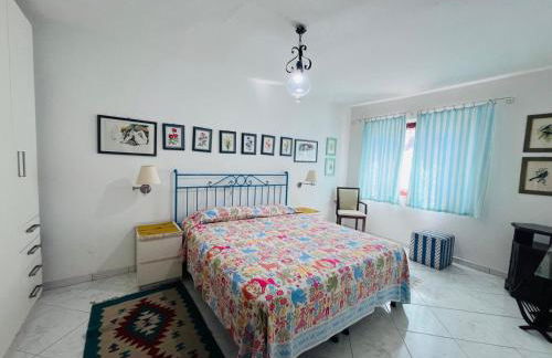 Giglio D'Oro - Elba Affitti - Foto 7