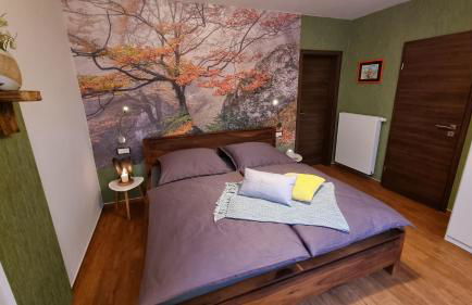 Ferienhaus Rehblick - direkt in der Natur, mit Lesezimmer und zwei Terrassen - Foto 9