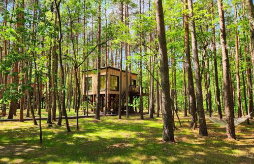 Tree Houses Olszanka - Photo 15