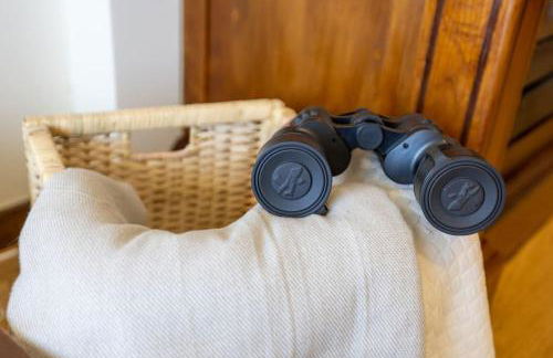 Casa da Tia Douro - Foto 22