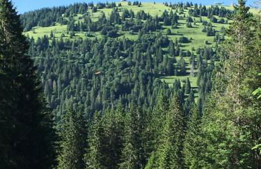 Ferienwohnung Heimweg - Foto 27