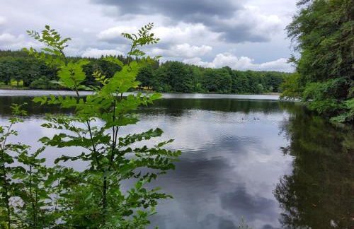 FeWo am Pochwerk-Badeteich - Foto 37