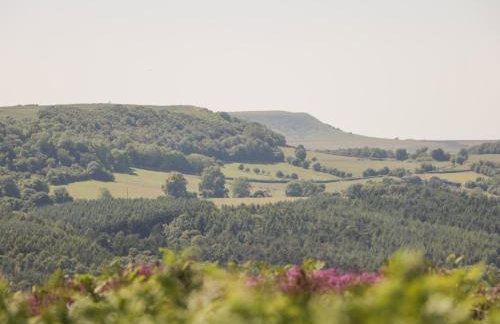 Ickle Pickle Cottage - Photo 16