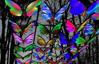 Villa Prat Bras - Appartements - Foto 53