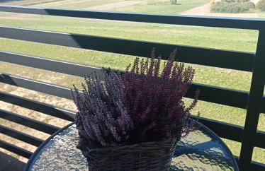 Bieszczadzki Horyzont Apartamenty - Photo 68