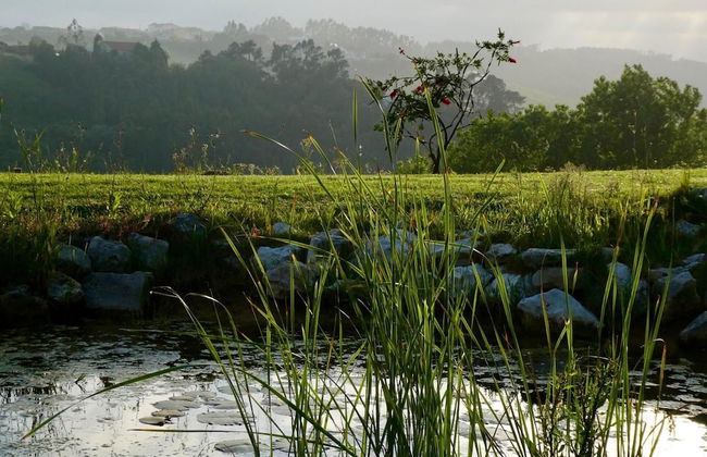 Vida-Vi, Country House and B&B - Foto 44