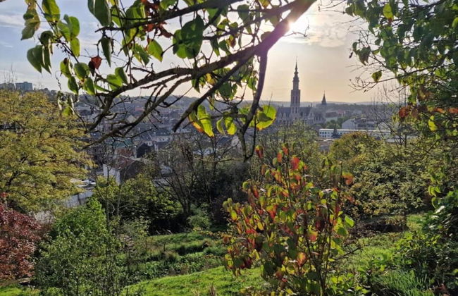 Spacious Place in Hamoir - Foto 35