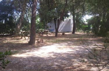 Agriturismo Vignavecchia - Foto 140