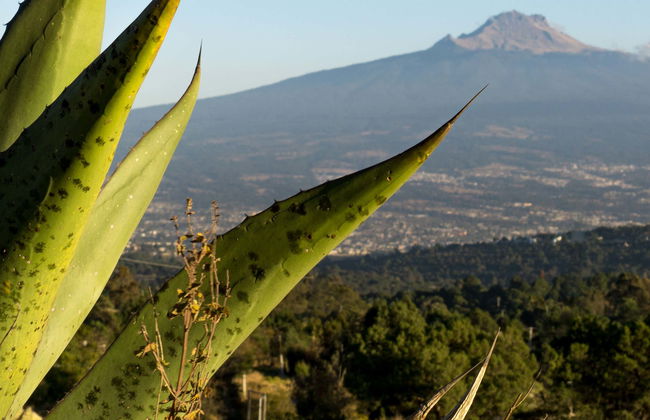 Randonnée dans le Parc National de La Malinche - Photo 3