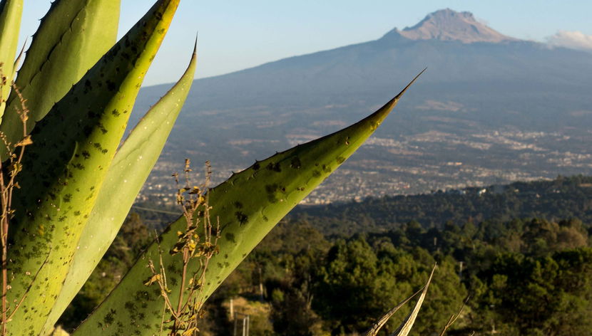 Senderismo por el Parque Nacional La Malinche