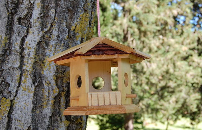 Borgo del Senatore - Foto 49