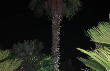 Villa Keti apartments Pool & Wellness - Photo 83