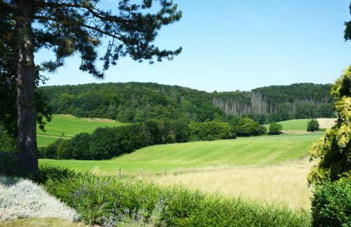 Holiday Home Wiesenhütte by Interhome - Foto 12