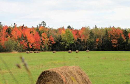 Kayak Cabin on Flanders Pond NEW - Foto 43