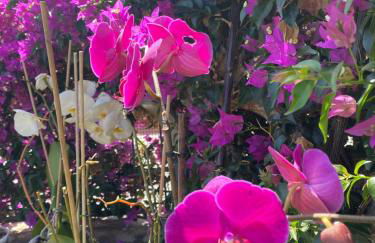 Numancia1-4B Ático5B - Foto 56