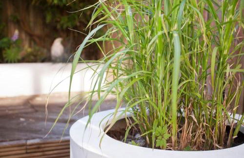 Walking distance to racecourse and city centre - Foto 4