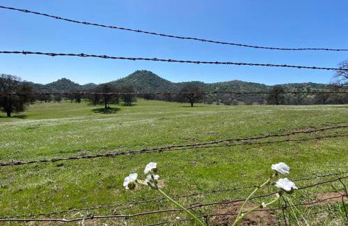 Waxberry Getaway Sequoia/Kings Canyon National Pks - Foto 52