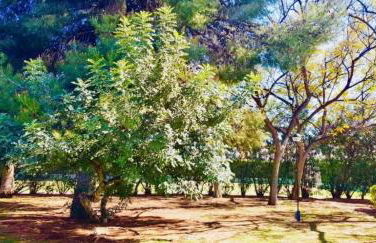 APARTAMENTO CERCA DE PLAYA Y MONTAÑA IDEAL FAMILIAS O RELAX - Photo 8