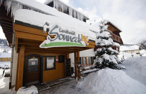 Landhotel und Apartments Sonneck - Photo 48