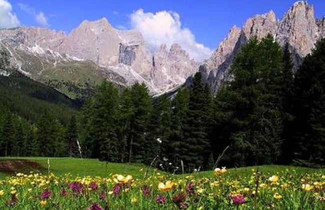 Comfortable House - Garden and Parking - Photo 38