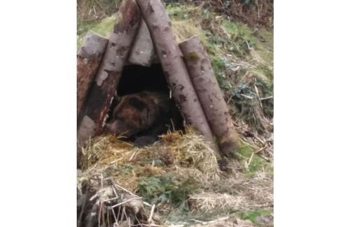 Bromberger Comfortable holiday residence - Foto 19