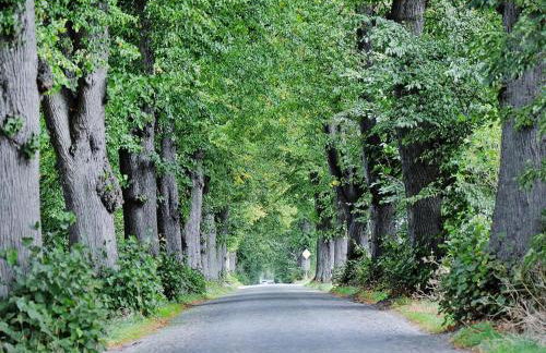 Gutshaus Zicker in Garz - Foto 13