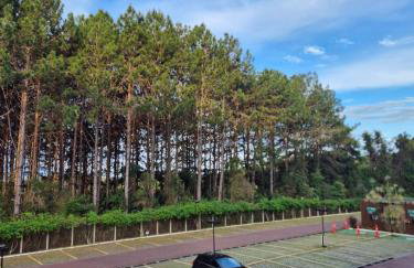 Apart Vista Azul - Conforto com a vista para a mata de pinheiros - Foto 12