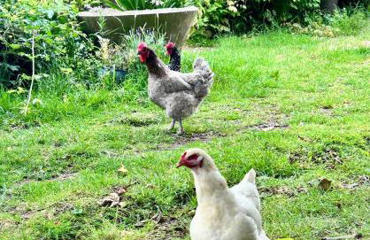 Motts Lodge - Photo 44