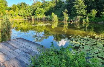 Apartament Kazimierza Wielkiego - Foto 26