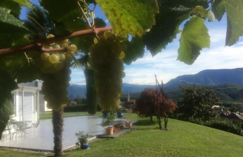 Millenniumshof - Foto 28