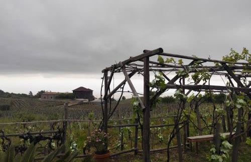 Villa Etna Masi' - Photo 57
