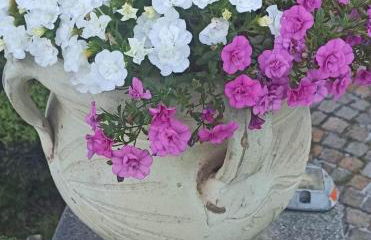 Casa dello Scoglio nel mare - Foto 55