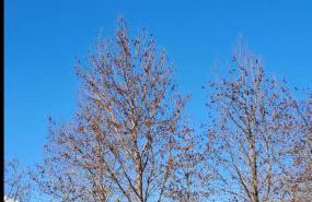 Vista Lago - Foto 29