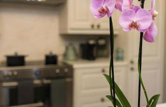 North Cottage - A Stylish Family Retreat Once Owned by Beatrix Potter - Foto 42