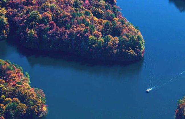 Cozy Bear at Bent Tree Mountain Home - Foto 55