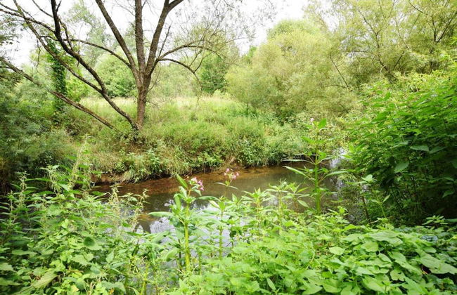 Bungalow in Virton Near Vallee de Rabais Lake - Foto 11
