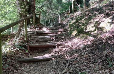 O Recuncho da Isa - Ribeira Sacra - Foto 33