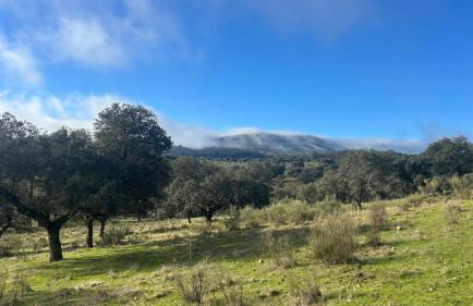 Casa Rural Nacimiento del Hueznar - Tomillo 17 - Foto 61
